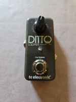 DITTO LOOPER TC ELECTRONIC