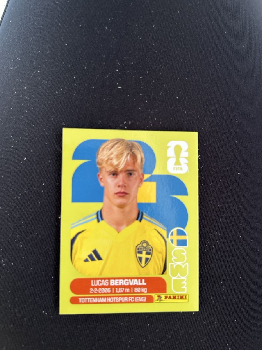 Panini Sammelbilder & Trading cards: Panini SWE 8 – Neu (gemäss Beschreibung) aus Lostorf von Venice16