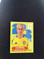 Panini SWE 8