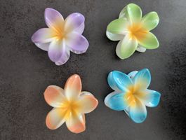 Lot de 4 pinces à cheveux fleurs tropicales colorées