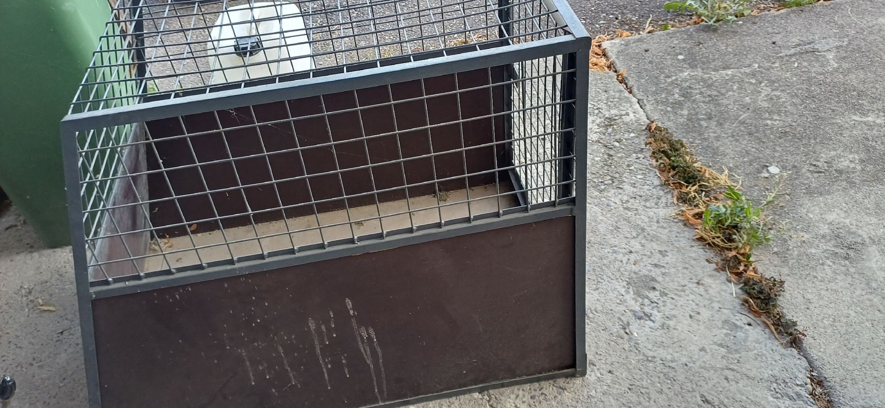 Meiko Gabbie, trasporto & Sicurezza: Hundetransportpox – Usato da Wängi venduto da Koebi62 1