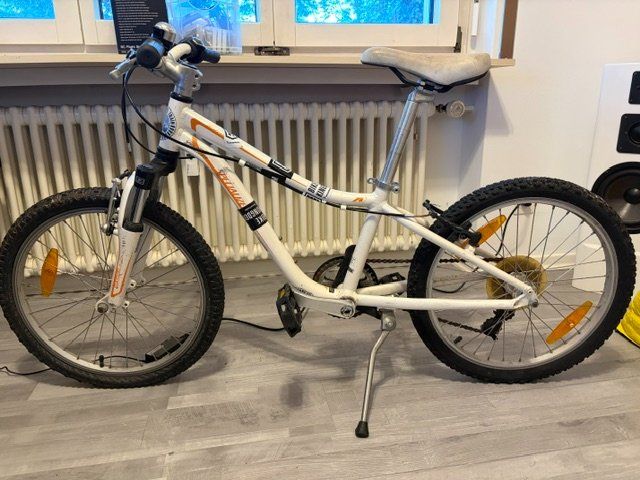 Specialized Biciclette: Specialized Mountainbike Jugend – Usato da Pfaffhausen venduto da salesswiss 1