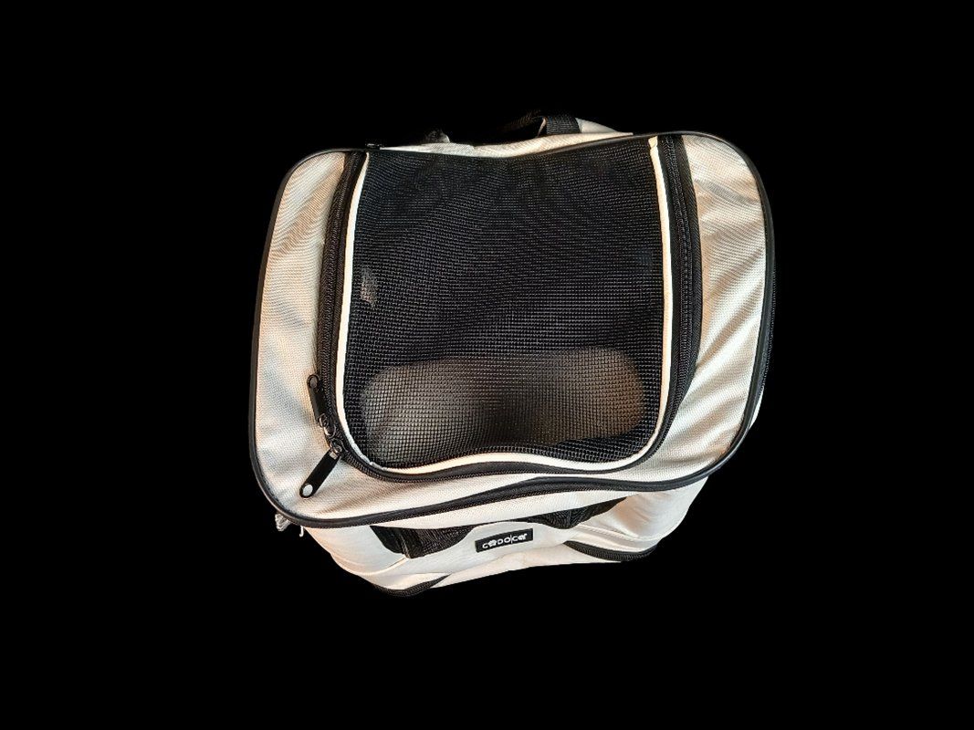 Zaini: CODACA Haustier Rucksack – Usato da Hünenberg venduto da Restwert_Zug 1