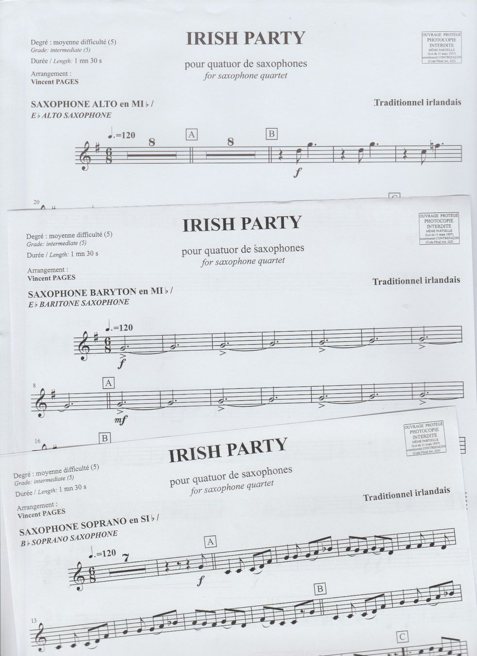 Libri: Traditionnal irlandais - Noten – Usato da Ennetbürgen venduto da Dosi6 2