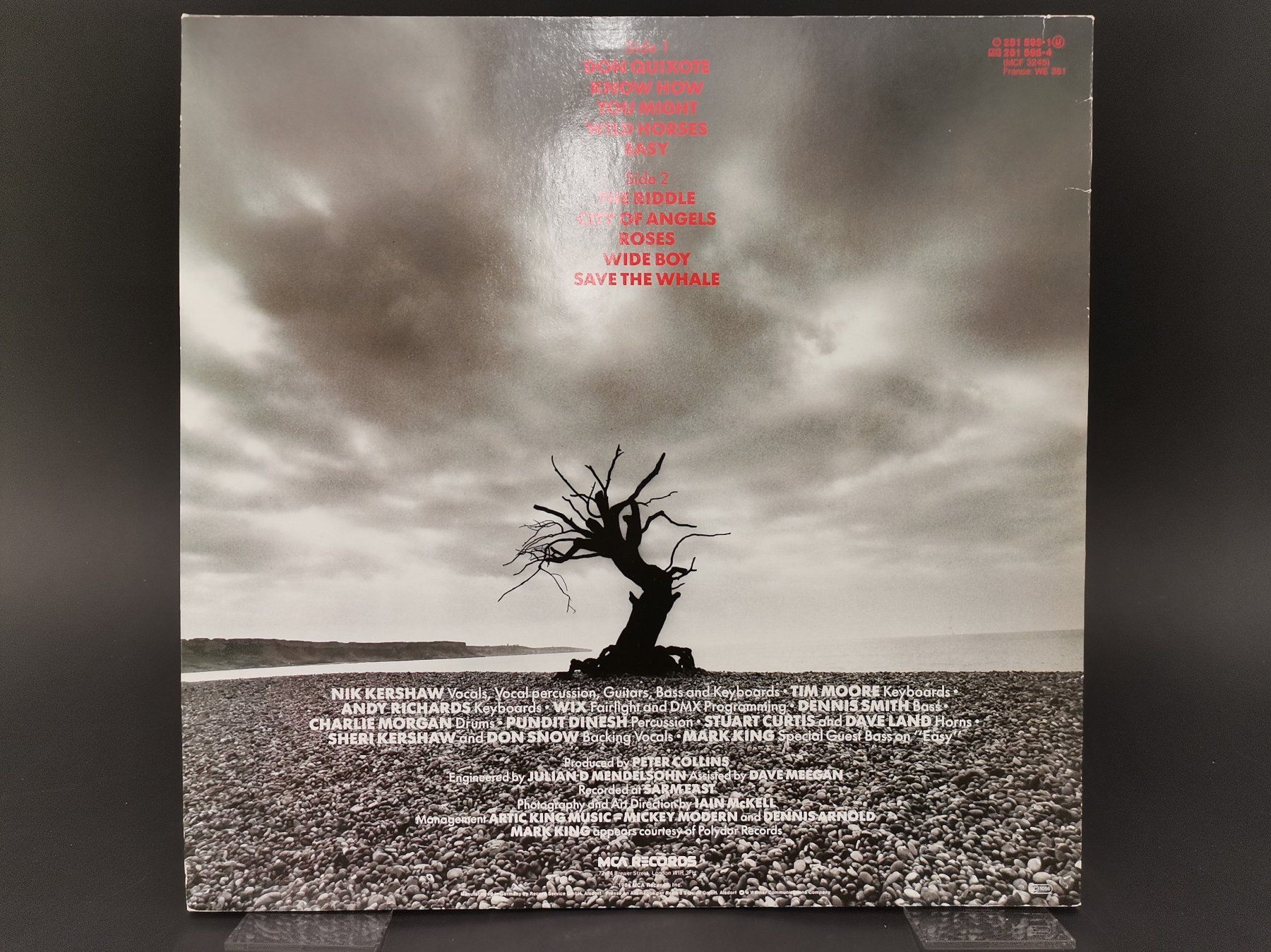 Dischi in vinile: SCHALLPLATTE Vinyl Nik Kershaw "The Riddle" – Usato da Schaffhausen venduto da Restwert_SH 1