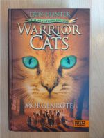 Warrior Cats Morgenröte von Erin Hunter - Staffel 2 Band 3