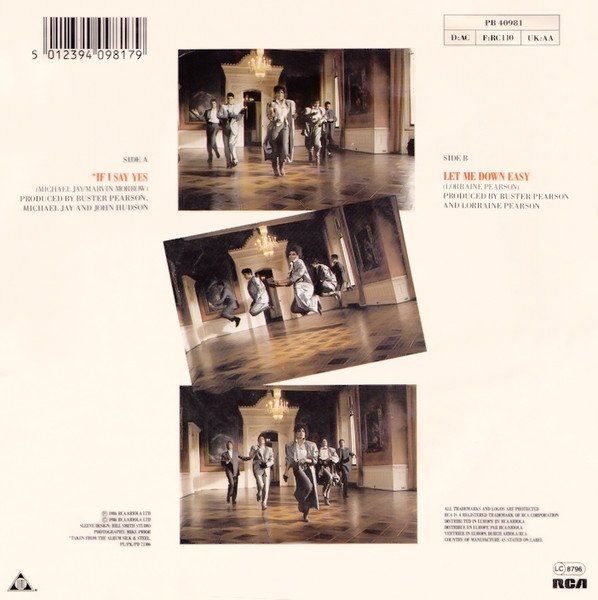 Dischi in vinile: 5 Star: If I Say Yes 7" – Usato da Steinhausen venduto da Vilivinili 1