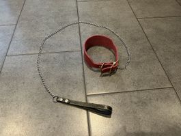 Neu Hundehalsband Leder & Kettenleine M