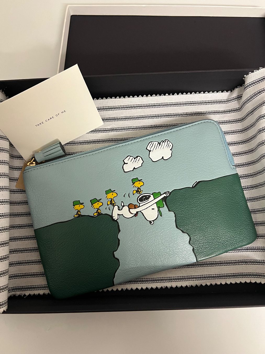 Anya Hindmarch Borse: ANYA HINDMARCH ETUI SNOOPY – Nuovo e nell'imballaggio originale da Wetzikon ZH venduto da Nakari11 4