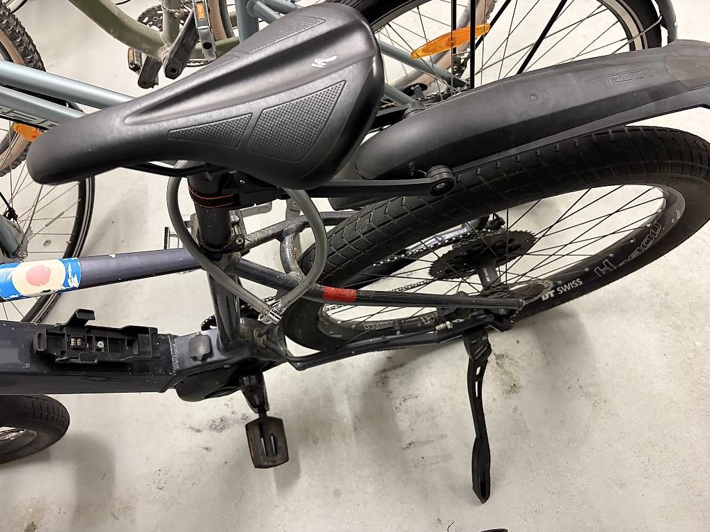 Biciclette: Bergstrom E-Bike – Usato da Zürich venduto da ram_tlf5 3