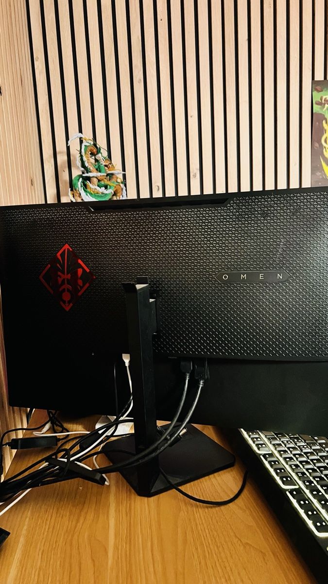 Monitor: Moniteur gaming HP Omen 25 bon état – Usato da Cointrin venduto da 3bdn28 2