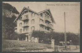 Carte P de 1917 (Beatenberg / Hôtel und Pension Silberhorn)