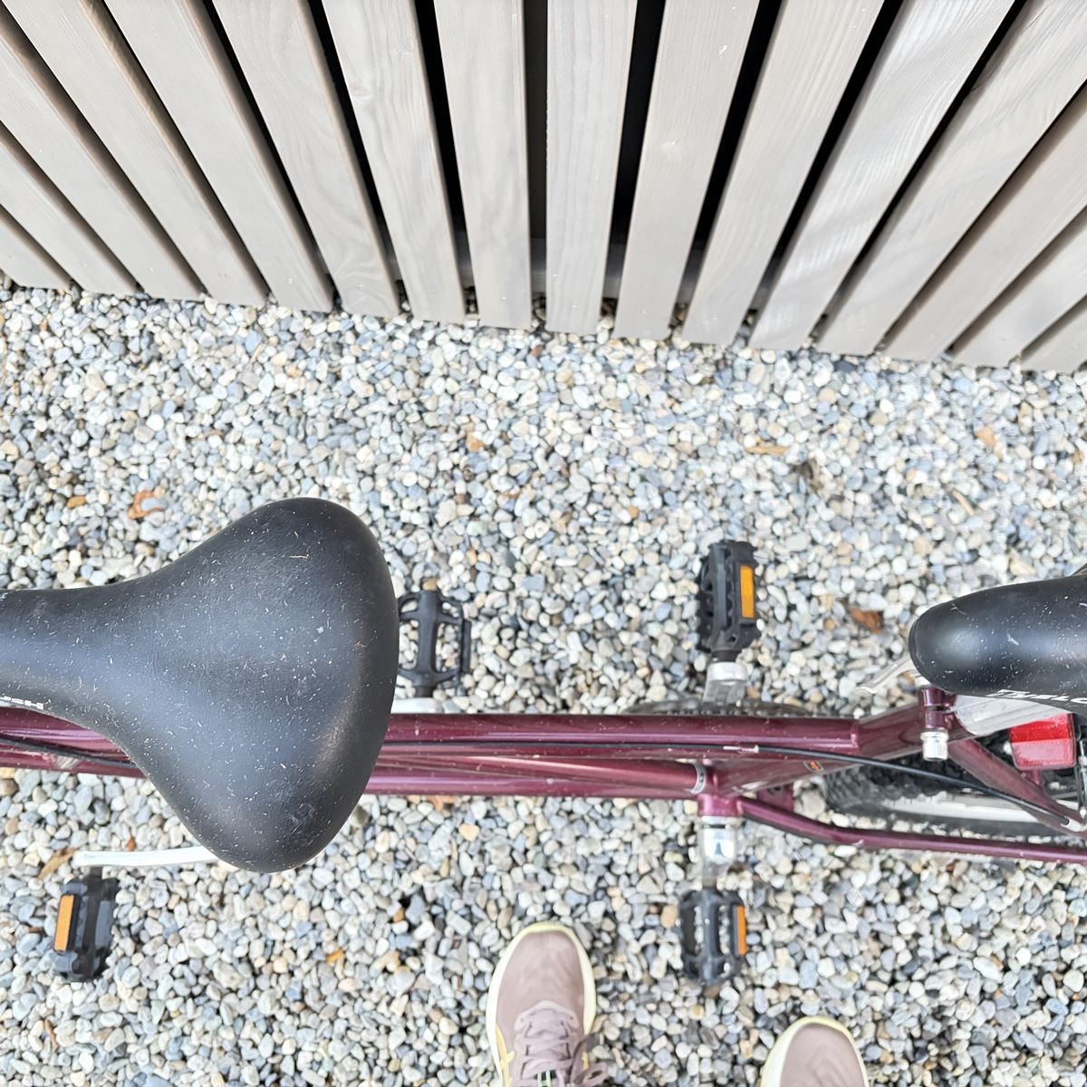 Biciclette: Tandem buddy bike – Usato da Chermignon venduto da dav_h92w 3