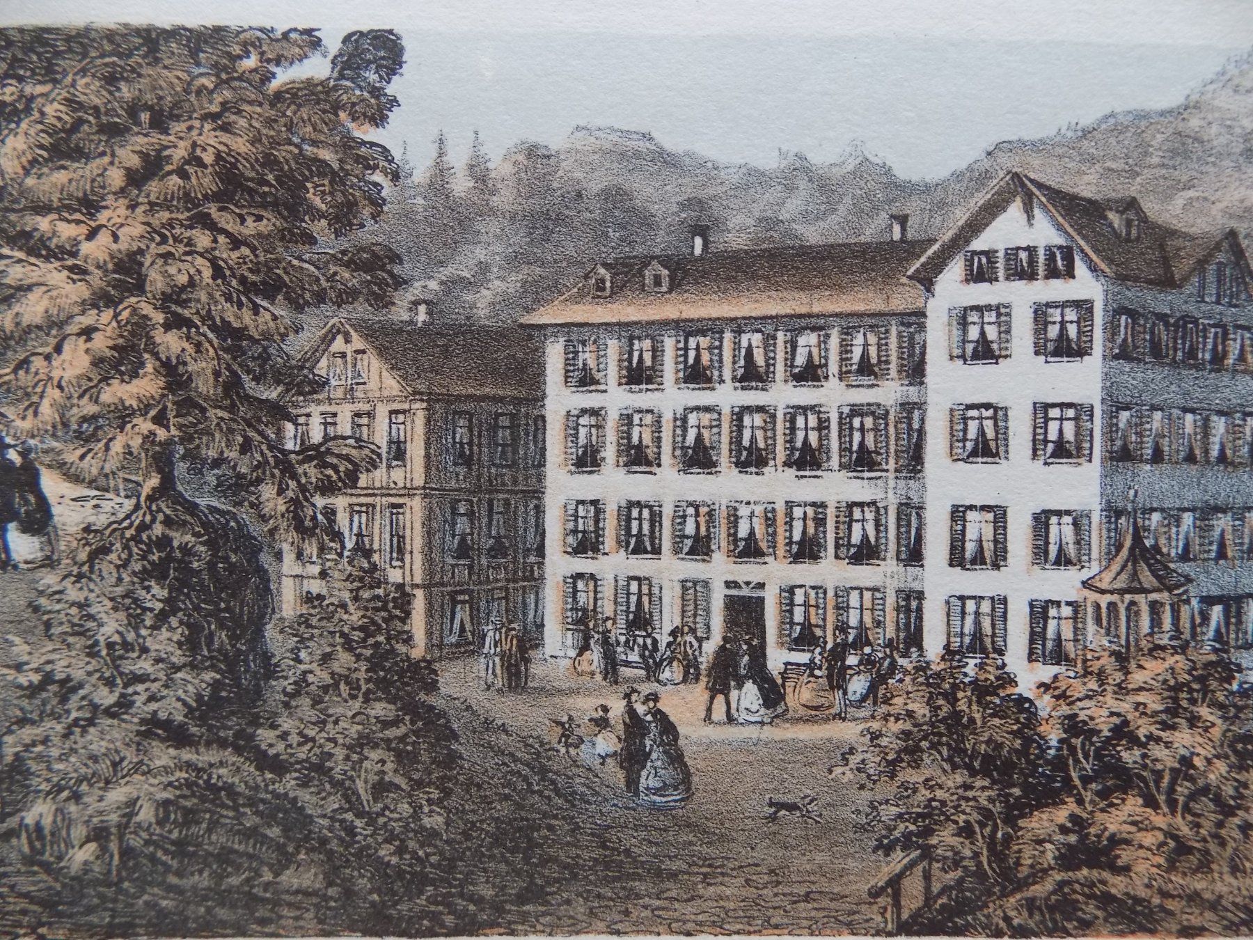 Incisioni: Bad Weissenburg getönte Lithographie – Usato da Risch venduto da Antikfee 5