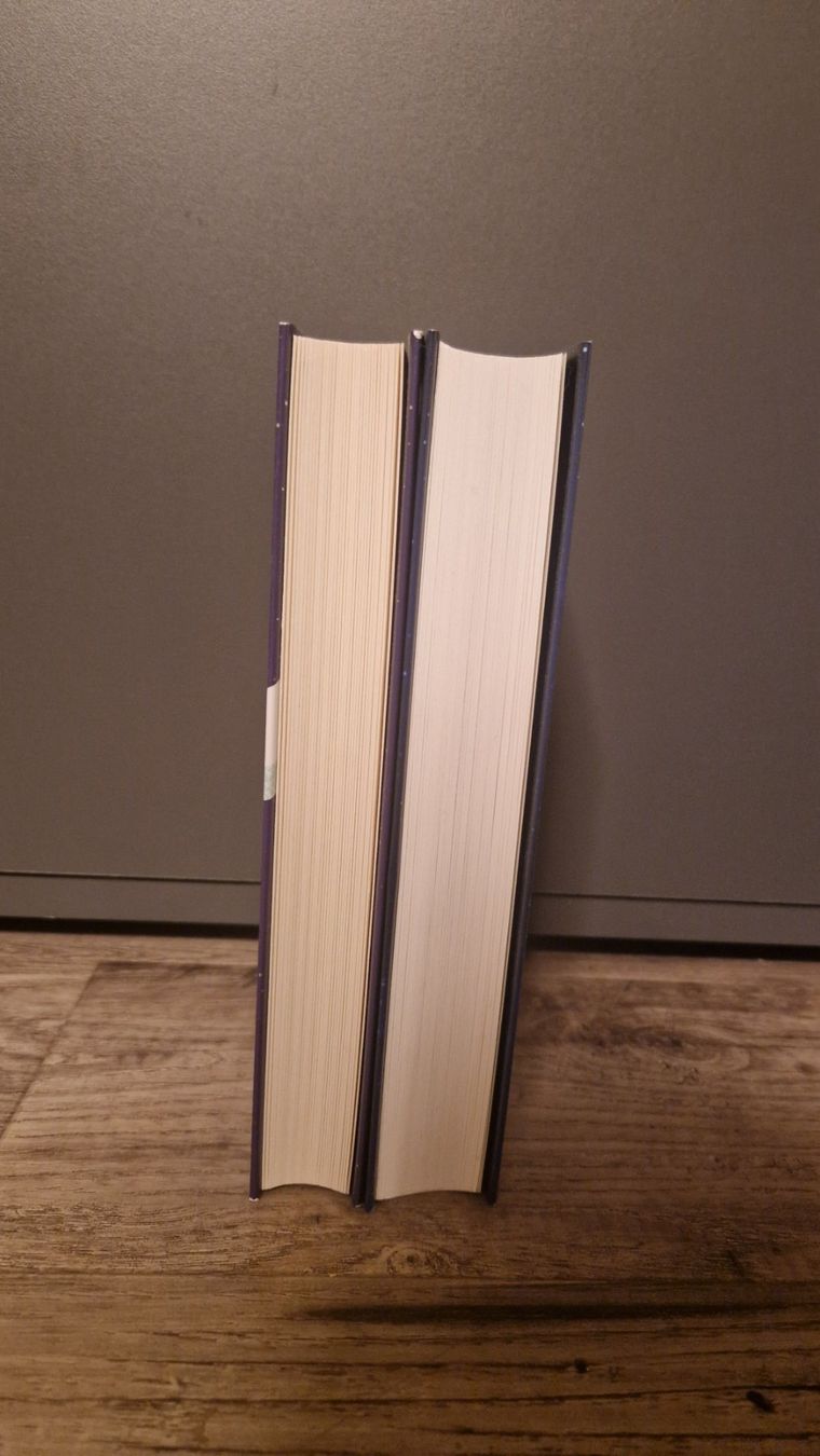 Libri: Matt Haig: Mitternachtsbibliothek und Mr. Cave – Usato da Tübach venduto da T97J 1