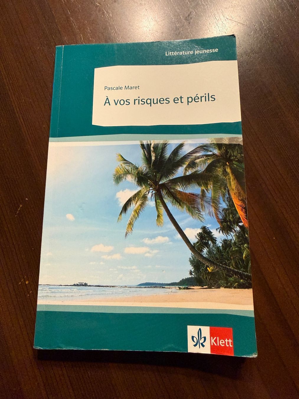 Libri: Buch A vos risques et périls Pascale Maret – Usato da Langenbruck venduto da caro_linej