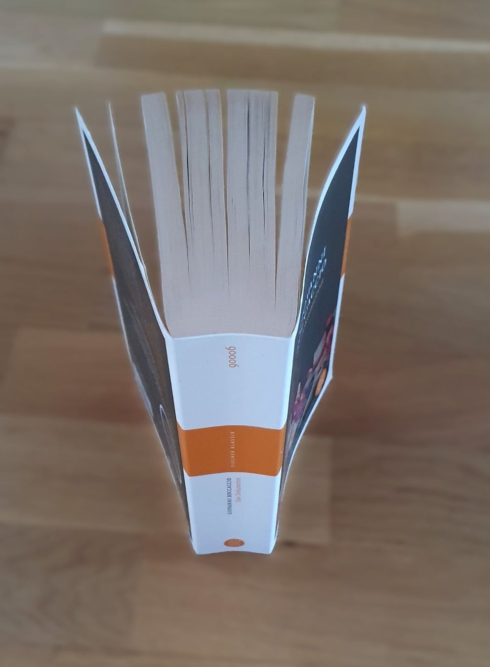 Libri: Das Dekameron / Giovanni Boccaccio – Usato da Emmenbrücke venduto da Re6020 2