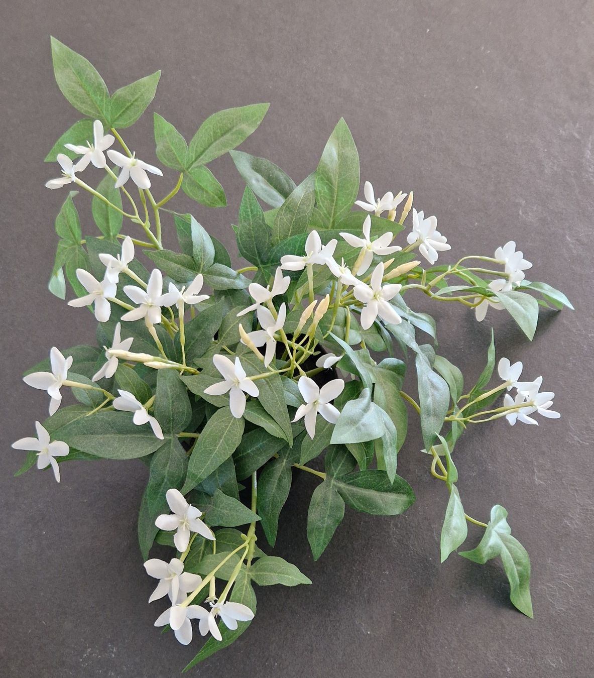 Piante & sementi: IKEA FEJKA Kunstpflanze Jasmin – Usato da Gasel venduto da sale65