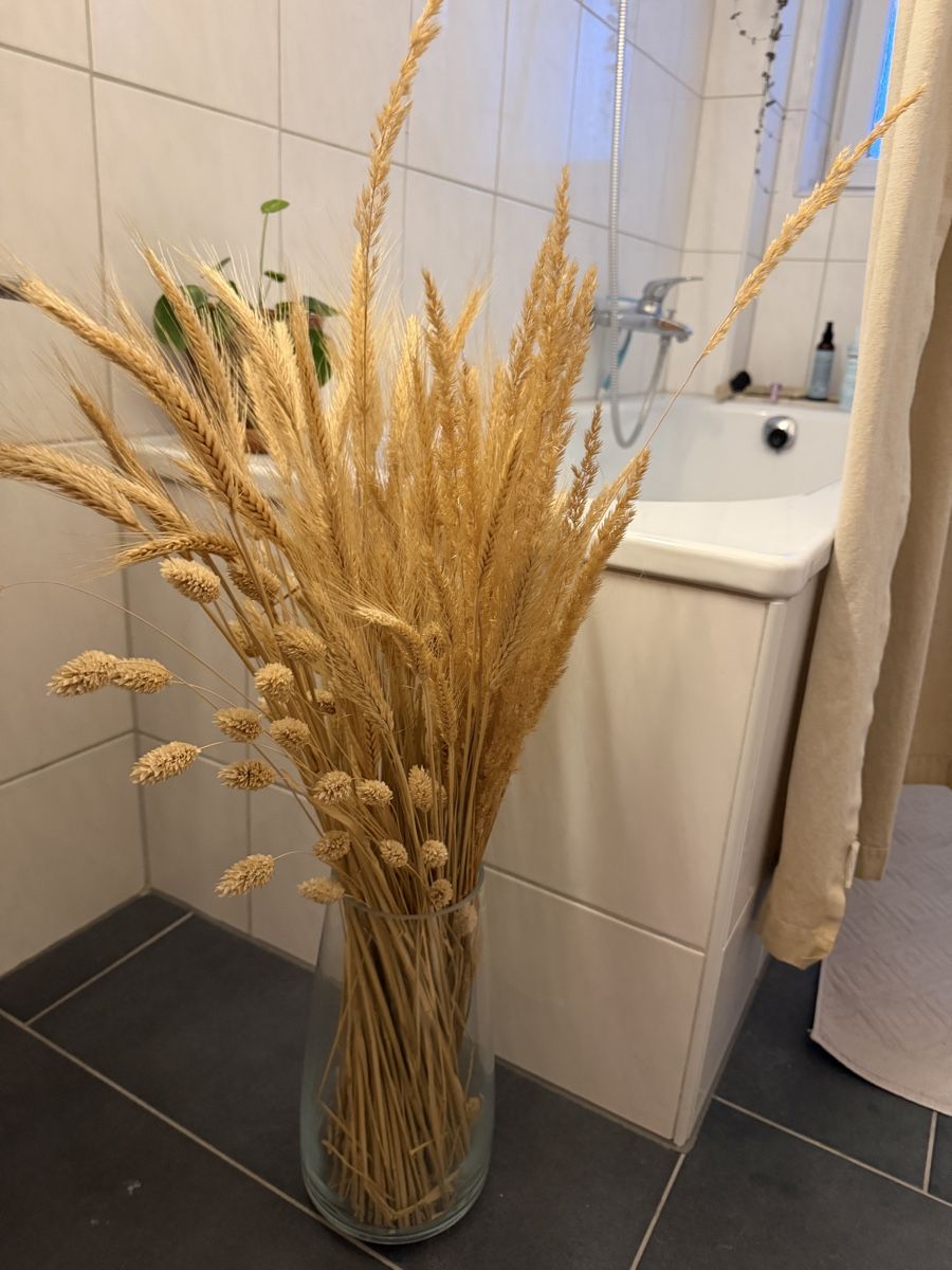 Tutte le decorazioni: Getrocknete Gräser  – Usato da Zürich venduto da Nadgb1303 1
