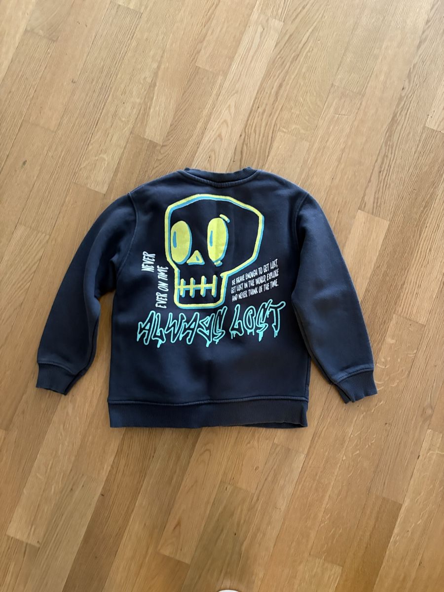 Zara Maglioni & Felpe: Pulli Junge Gr. 130 ZARA – Usato da Winterthur venduto da Baby117 1