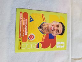 Panini Fussball COL 11