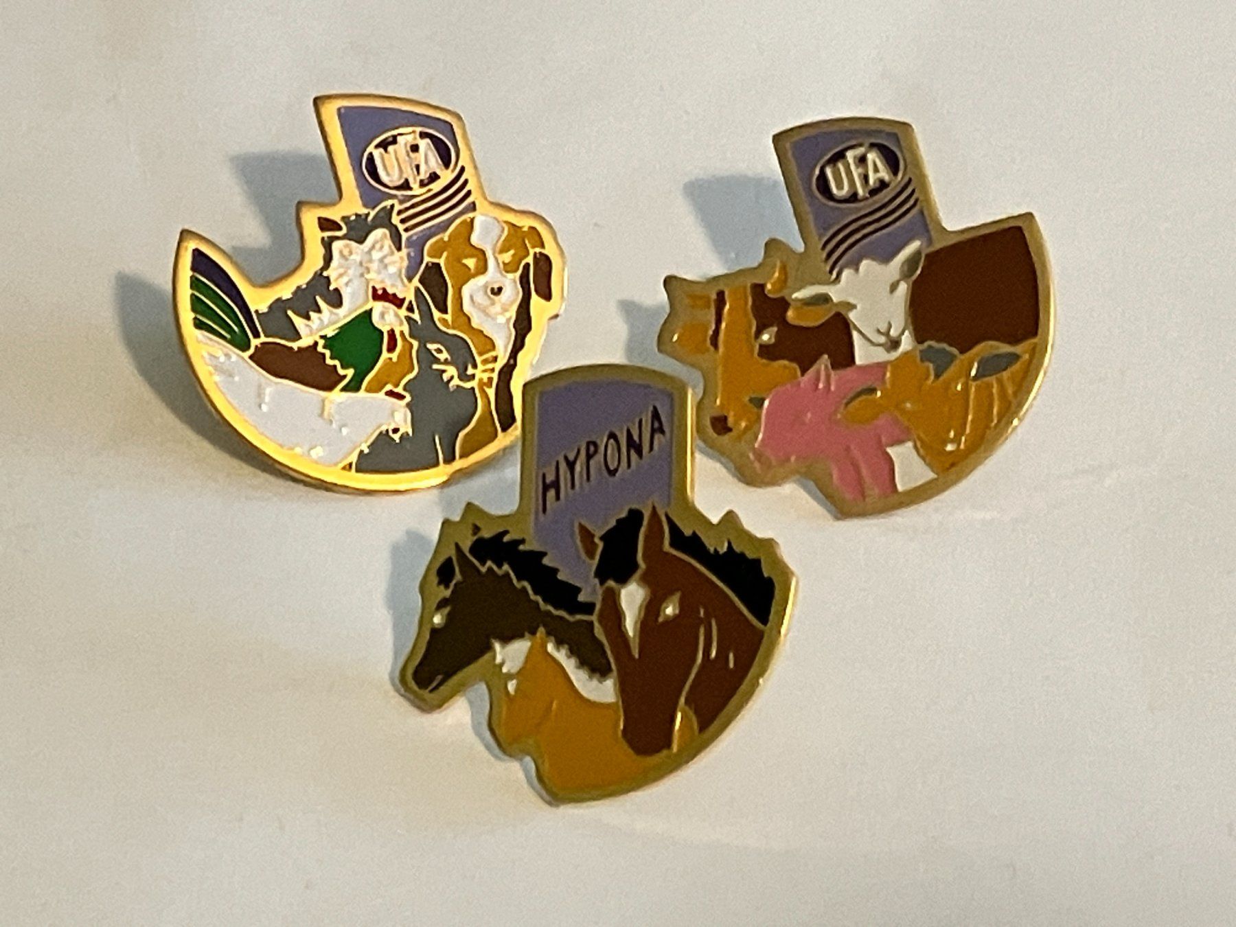 Placchette & Badge: 3 Pin UFA & Hypona Tierfutter – Usato da Basel venduto da djwwpp