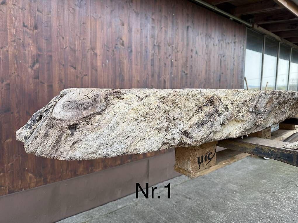 Articles en bois: Eichenblatt – D'occasion à Uetendorf par dan_vp9g 2