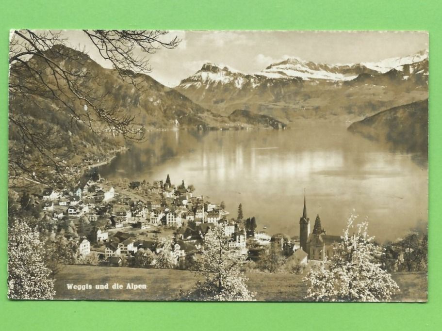 Cartoline postali: Weggis und die Alpen – Usato da Zürich venduto da t24_de