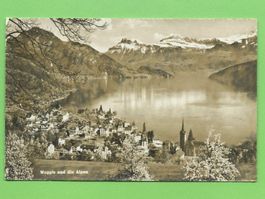 Weggis und die Alpen