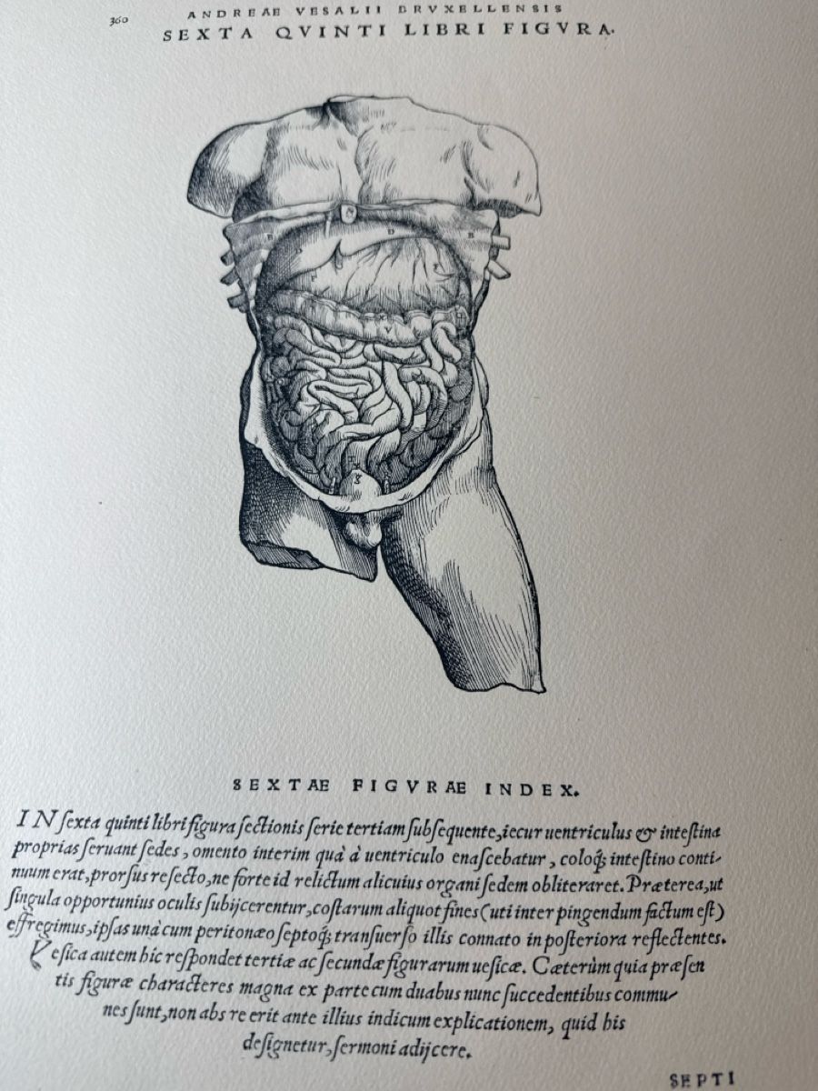 Libri: Le livre avec 9 planches anatomiques – Usato da Schmitten FR venduto da Hohezelg 8