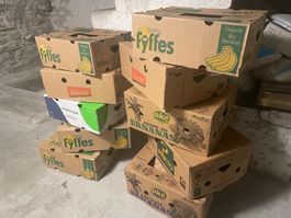 10 cartons de bananes
