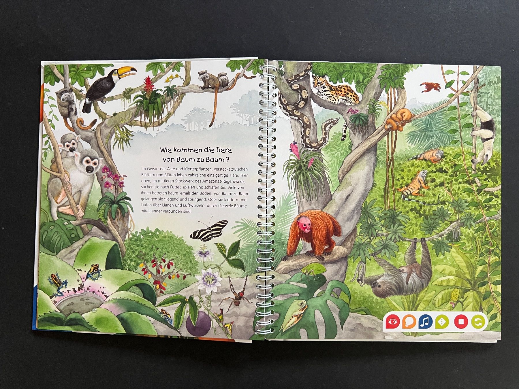Bücher: Tip Toi TipToi entdecke den Regenwald Buch – Gebraucht aus Ennetbaden von mapa05 3