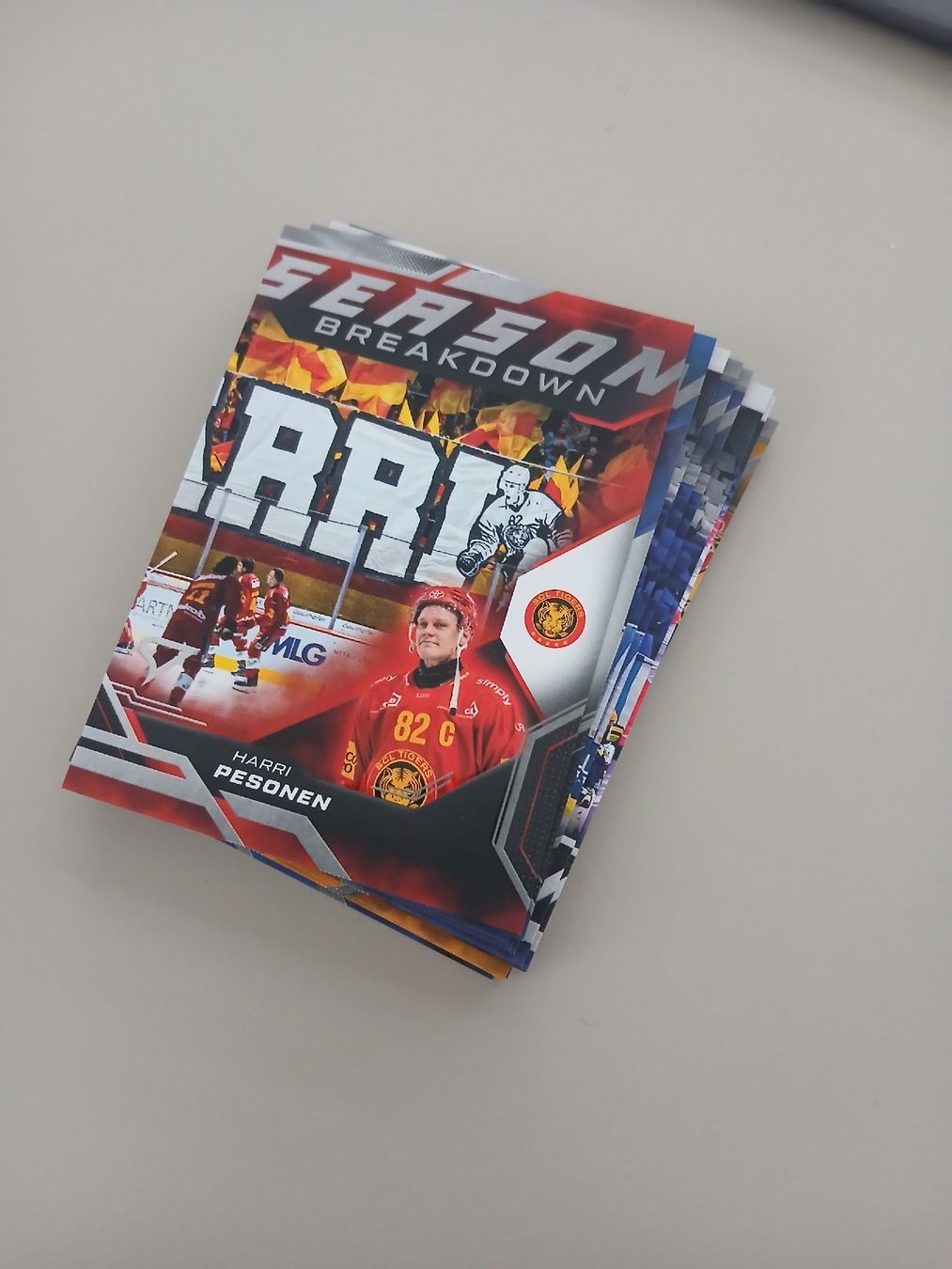 Sportzoo Carte collezionabili: 14 Stk Breakdown Playoff Saison 25/26 – Nuovo (secondo la descrizione) da Düdingen venduto da oliheimo92