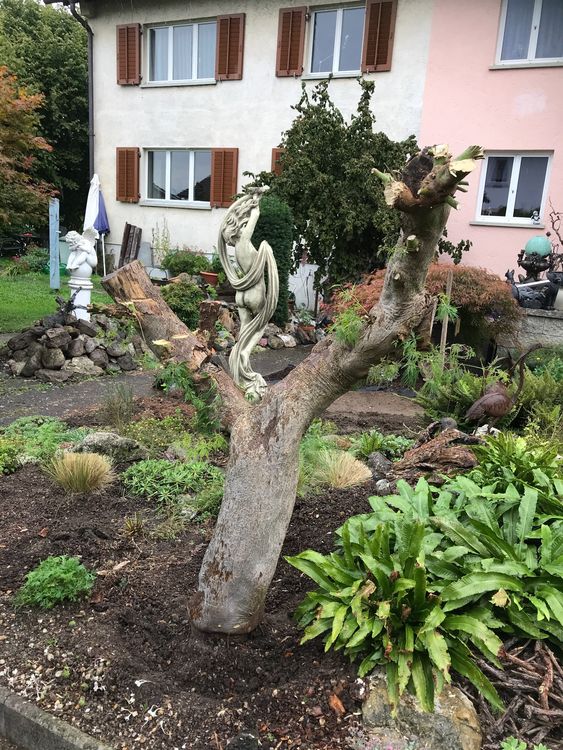 AQUA KT Schildkröten Sonnenplattform - Schwimmendes Dock 22,5cm