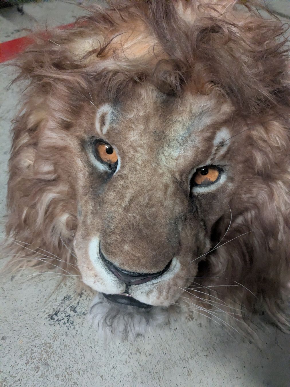 Maschere: Masque de Lion cozplay carnaval spectacle – Nuovo (secondo la descrizione) da Genève venduto da maiakovski 1