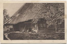 LANDWIRTSCHAFT/STROHDACHHAUS 1916 Aargau?