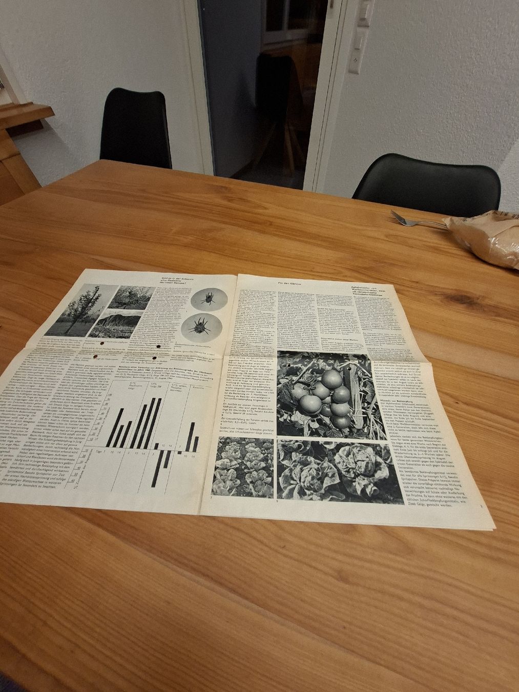 Documenti: Geigy Berater Basel Prospekt 1961 Schädlingsbekämpfung – Usato da Ganterschwil venduto da HeidiuPeter 2