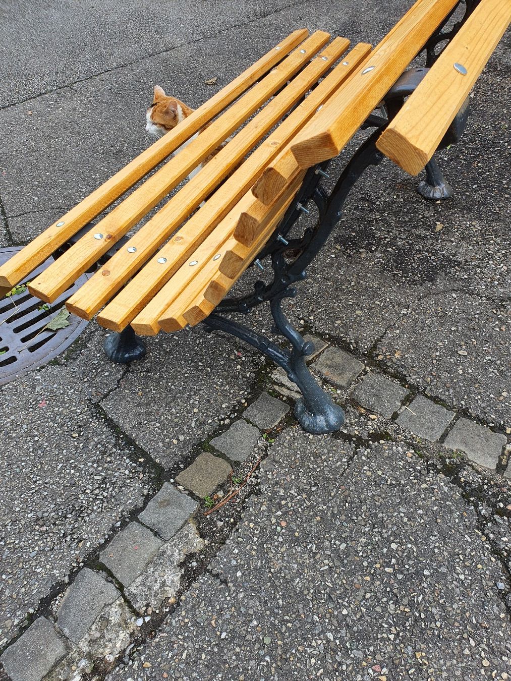 Panchine: Bänkli Wetterschutzbehandelt braun – Usato da Wangen b. Olten venduto da Hecht62xyz 1