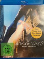 Evangelion: 1.11 – You Are (Not) Alone.  (2011)