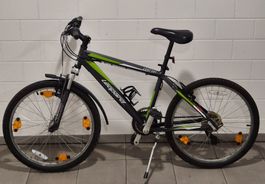 Velo Mountainbike Leopard Cool Cat grau grün 24 Zoll