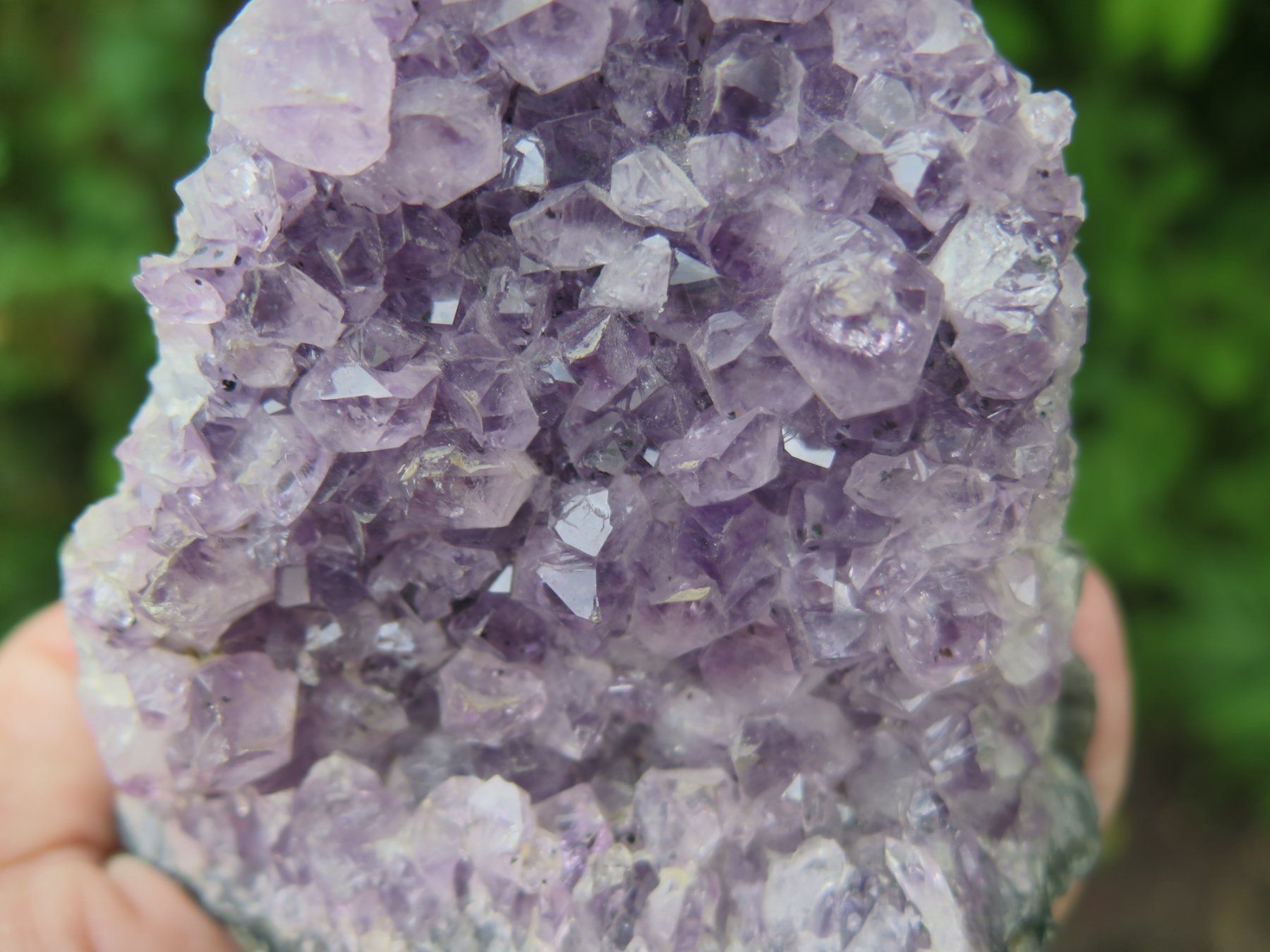 Minéraux & Lithothérapie: Amethyst von Brasilien ca. 426 gr. – D'occasion à Schaffhausen par Yamakana51L8736OQ8 4
