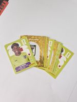 Panini JPN / Japan