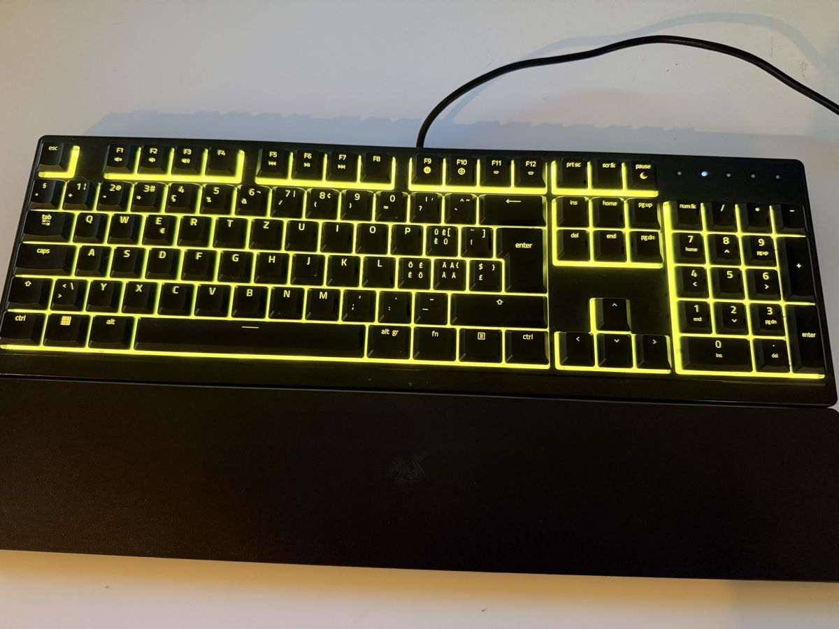 Razer Tastiere: Razer Ornata V3 X – Usato da Givisiez venduto da Scilliam 1