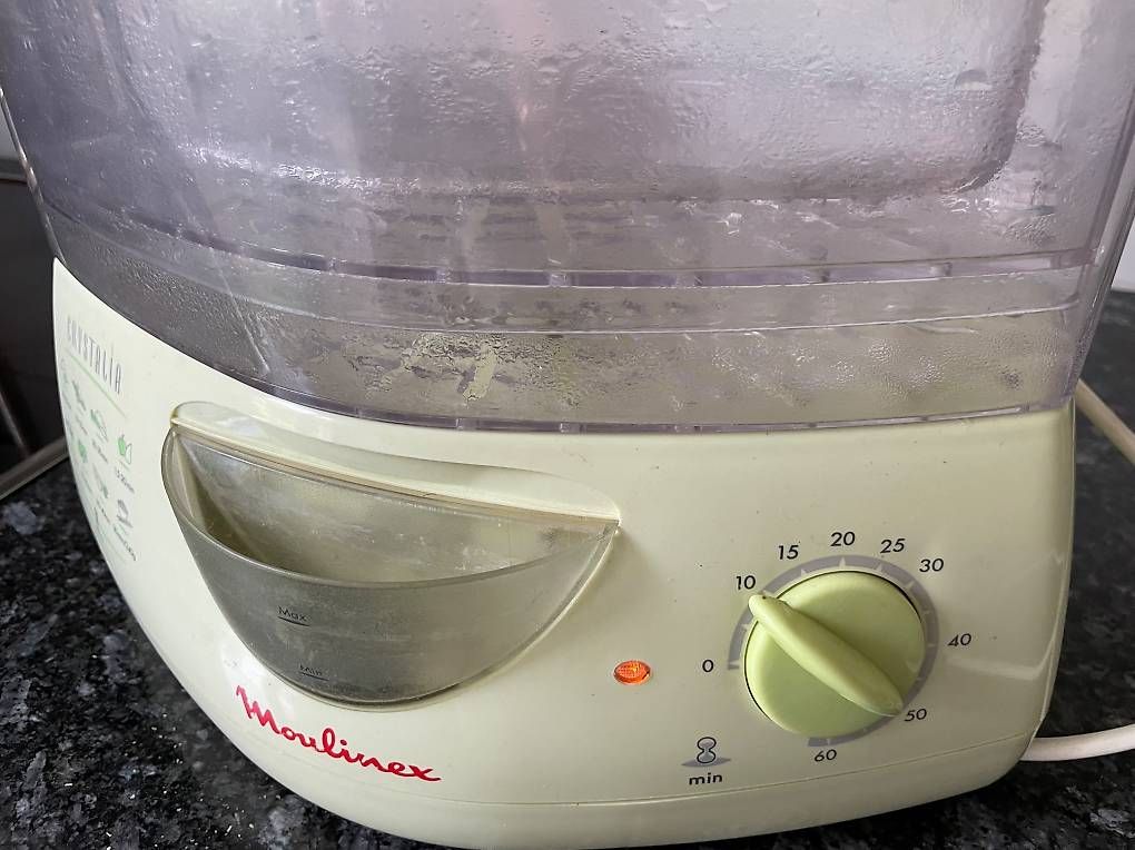 Elettrodomestici da cucina: Steamer Moulinex – Usato da Ittigen venduto da son_w9mz 2