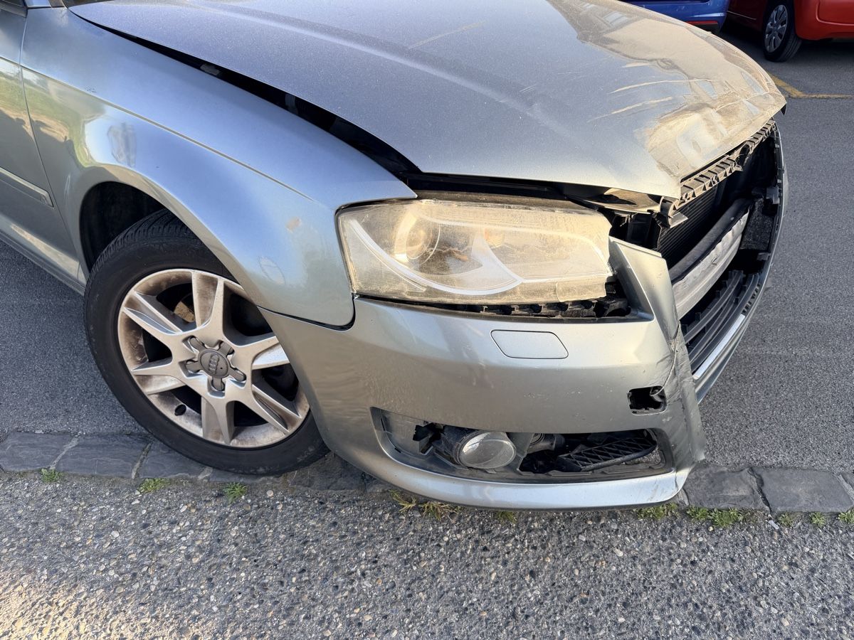 Audi Automobili: Audi A3 1.4 TFSI 2009  – Difettoso da Donneloye venduto da Edelweiss_jeep 2
