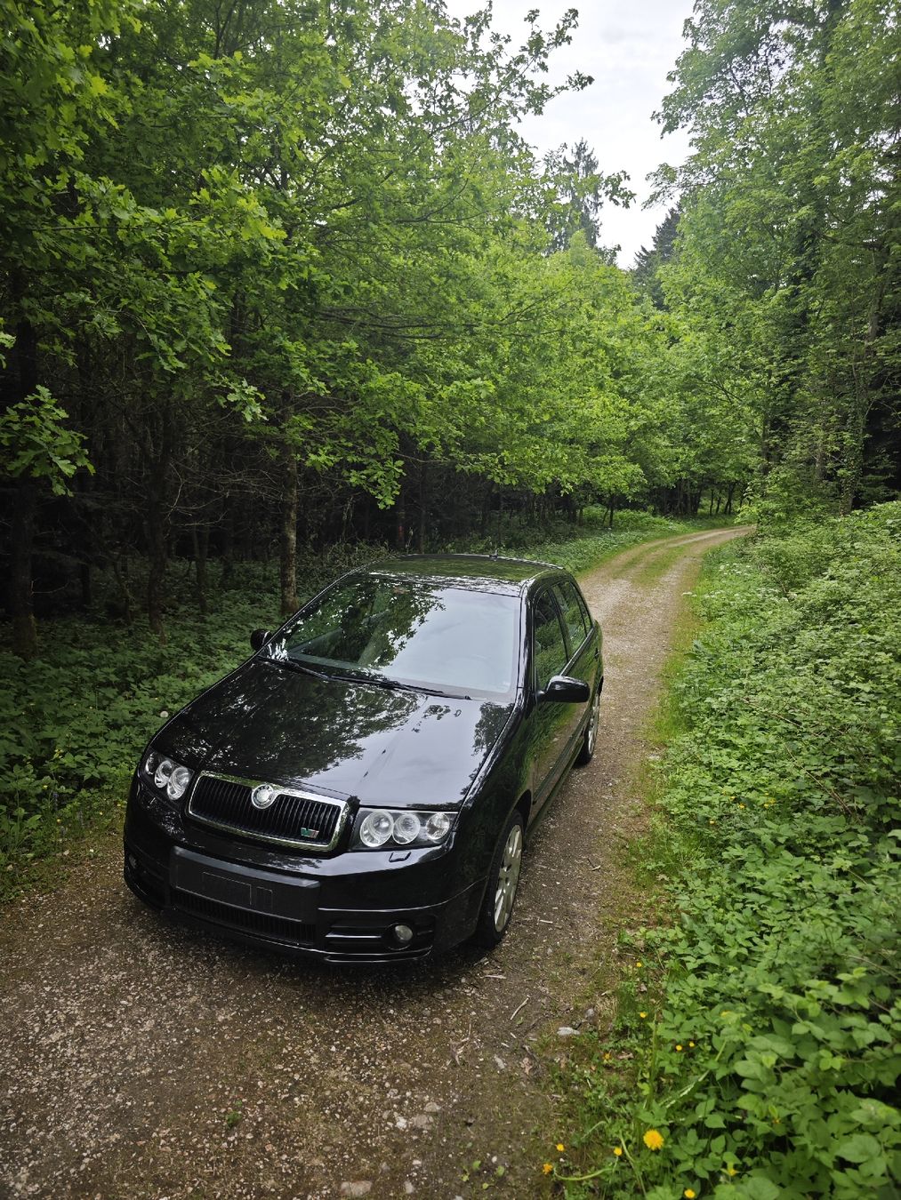 Skoda Automobili: Ab 1.- Skoda Fabia RS 1.9 TDI 2003! – Usato da Brittnau venduto da ThomasKTM