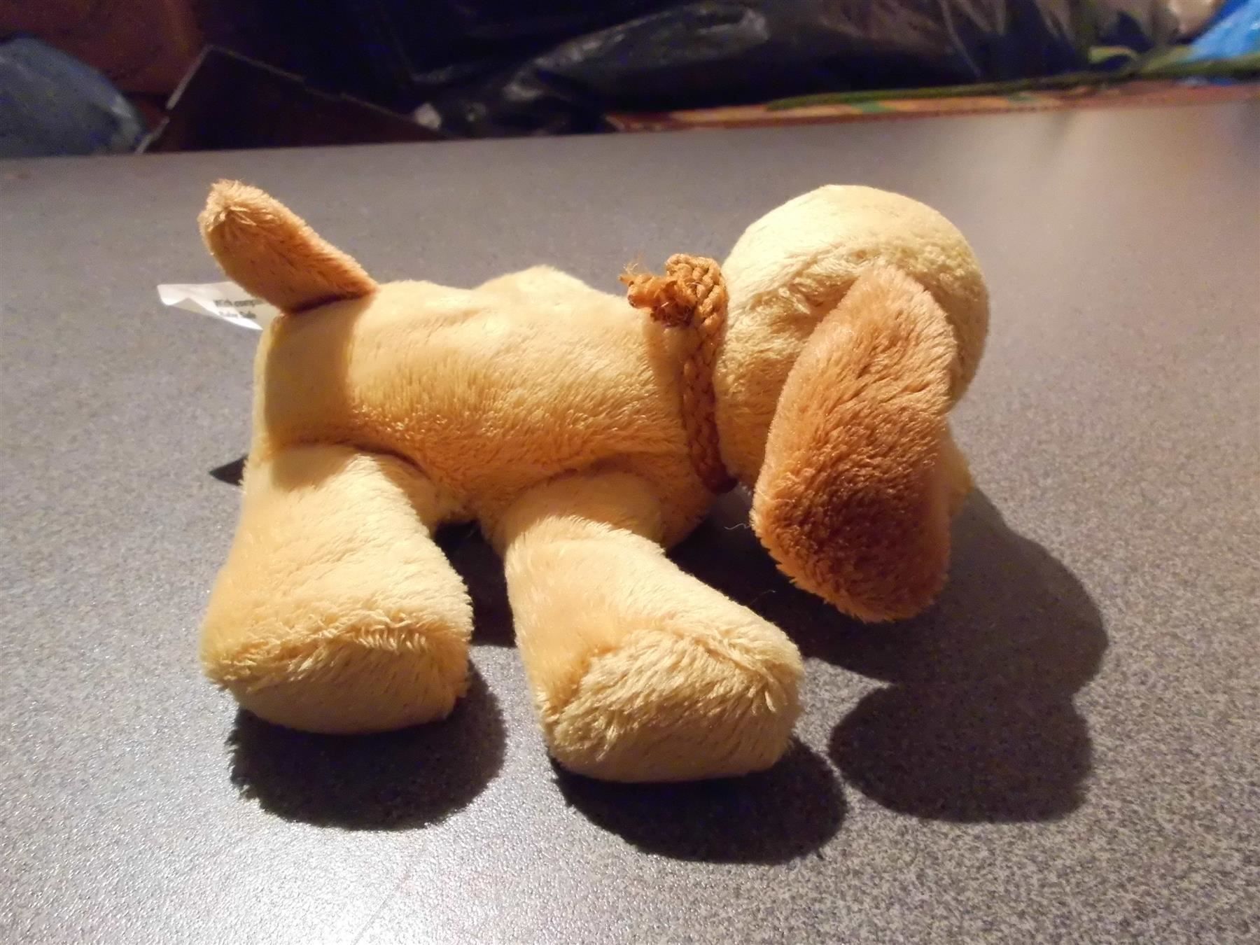 Jouets: Hund hellbraun / braune Ohren – D'occasion à Zürich par abraxas1291 1