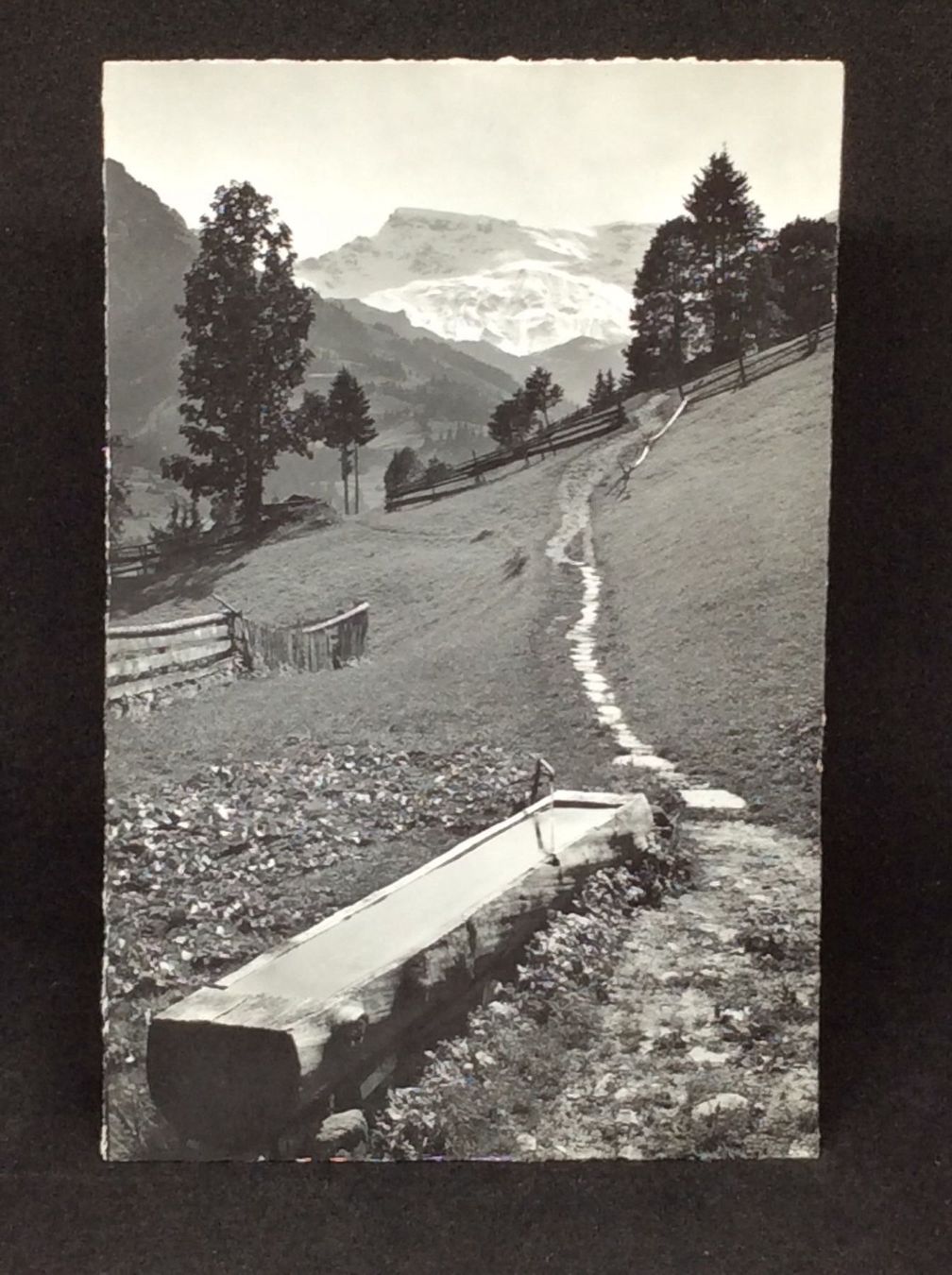 Cartes postales: Adelboden, Wildstrubel – D'occasion à Widnau par Brusi9