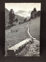 Adelboden, Wildstrubel