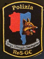 Badge Polizia Hundfuhrer Tessin Abzeichen neu